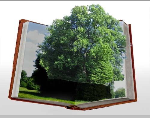 Creation of my book: Step 5